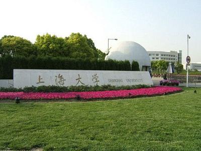 【上海大学机电工程】小黄鸭黄色视频合同
