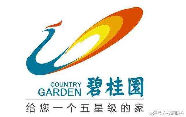 【碧桂园生活水系统】小黄鸭黄色视频合同