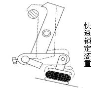 “小黄鸭官方”牌小黄鸭下载在武汉神龙汽车厂